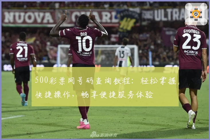 500彩票网号码查询教程：轻松掌握快捷操作，畅享便捷服务体验