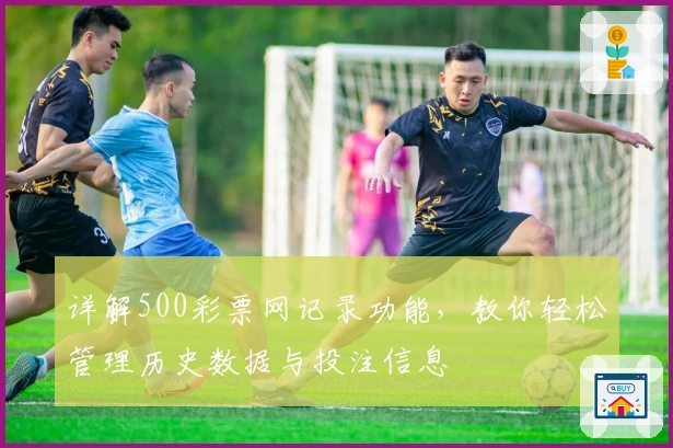 详解500彩票网记录功能，教你轻松管理历史数据与投注信息