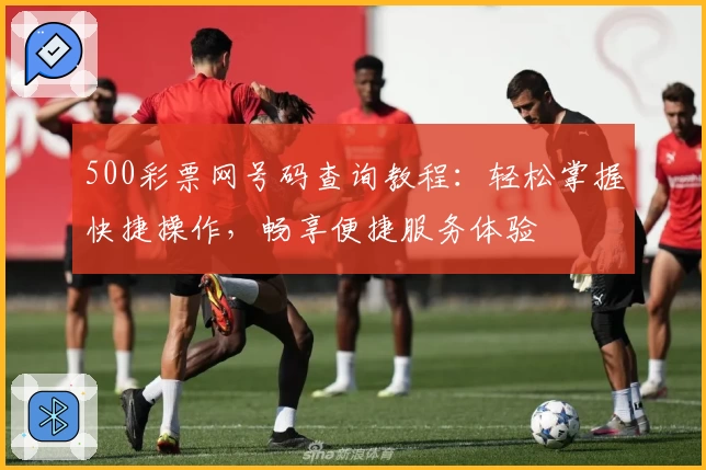 500彩票网号码查询教程：轻松掌握快捷操作，畅享便捷服务体验