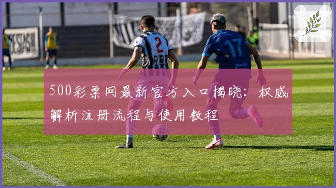 500彩票网最新官方入口揭晓：权威解析注册流程与使用教程