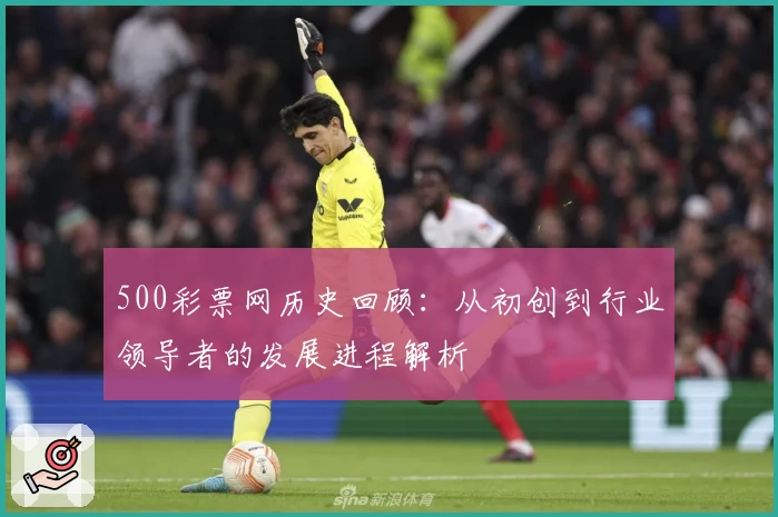 500彩票网历史回顾：从初创到行业领导者的发展进程解析