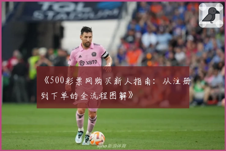 《500彩票网购买新人指南:从注册到下单的全流程图解》